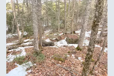 370 Maple Road, Atkinson, ME 04426 - Photo 3