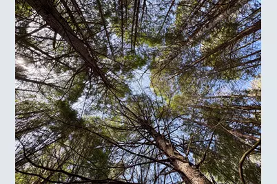 631 River Road, Brunswick, ME 04011 - Photo 19