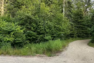 [Address not provided], Cherryfield, ME 04622 - Photo 1