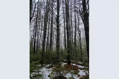 00 Harriman Road, Swanville, ME 04915 - Photo 3