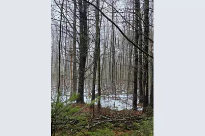 00 Harriman Road, Swanville, ME 04915 - Photo 1