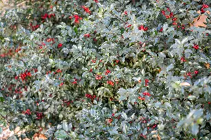 75 Main Rd, Charleston, ME 04422 - Photo 55