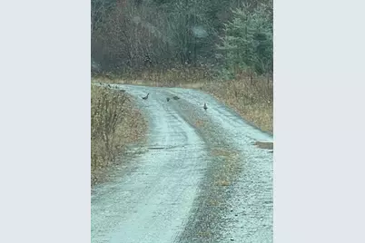Project576 Benedicta Twp, Benedicta, ME 04733 - Photo 5