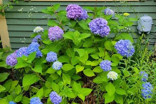 46 N Gorham Rd, Gorham, ME 04038 - Photo 63