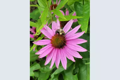 46 N Gorham Road, Gorham, ME 04038 - Photo 59