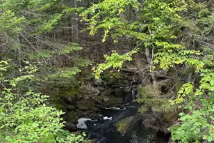 Lot 6 Black Cow Meadow Rd, Northfield, ME 04654 - Photo 1