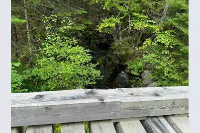 Lot 6 Black Cow Meadow Road, Northfield, ME 04654 - Photo 5