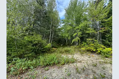 Lot 6 Black Cow Meadow Road, Northfield, ME 04654 - Photo 3