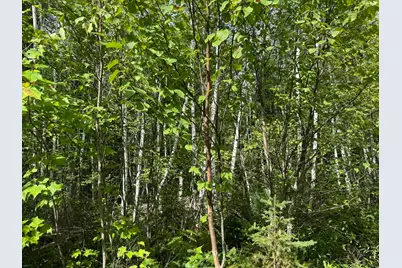 Lot 6 Black Cow Meadow Road, Northfield, ME 04654 - Photo 9