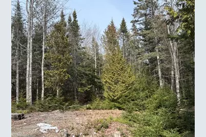 1 Gator Road, Machiasport, ME 04655 - Photo 39