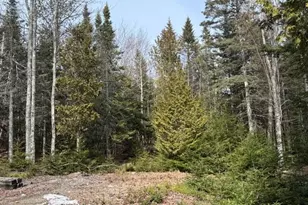 1 Gator Rd, Machiasport, ME 04655 - Photo 39