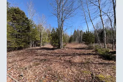 Lot 116 Bass Overlook, Waltham, ME 04605 - Photo 5