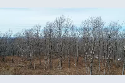 M1L22 Moosehead Trail, Dixmont, ME 04932 - Photo 5