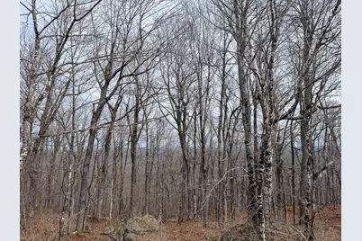 M1L22 Moosehead Trail, Dixmont, ME 04932 - Photo 13