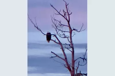 8 Summer Street, Searsport, ME 04974 - Photo 67