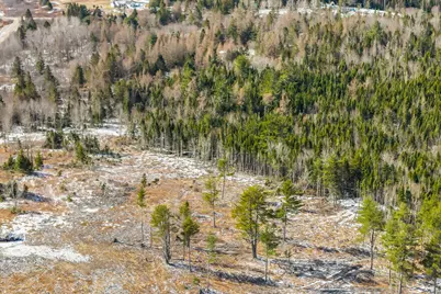 012-050 Meeting House/Tibbettstown Rd, Columbia Falls, ME 04623 - Photo 25