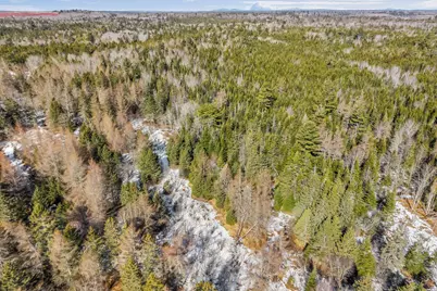 012-050 Meeting House/Tibbettstown Rd, Columbia Falls, ME 04623 - Photo 31
