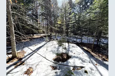 Lot 5 Lords Hill Road, Brownfield, ME 04010 - Photo 11