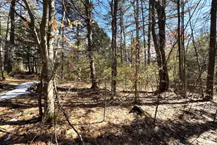 Lot 5 Lords Hill Rd, Brownfield, ME 04010 - Photo 1