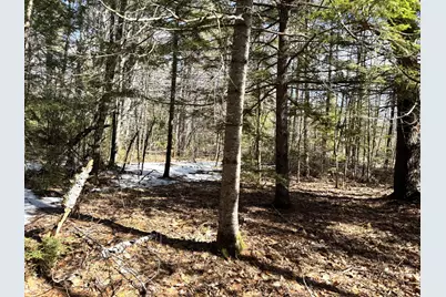 Lot 5 Lords Hill Road, Brownfield, ME 04010 - Photo 7