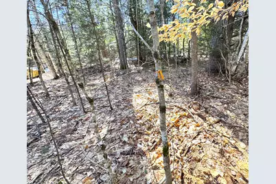 Lot 5 Lords Hill Road, Brownfield, ME 04010 - Photo 5