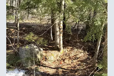 Lot 5 Lords Hill Road, Brownfield, ME 04010 - Photo 9