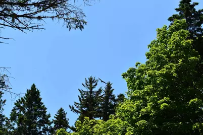 11 Sardine Way, Lubec, ME 04652 - Photo 19