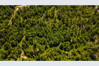 Lot 23 Northfield Road, Marshfield, ME 04654 - Photo 23