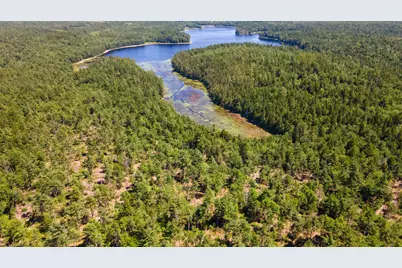 Lot 23 Northfield Road, Marshfield, ME 04654 - Photo 21