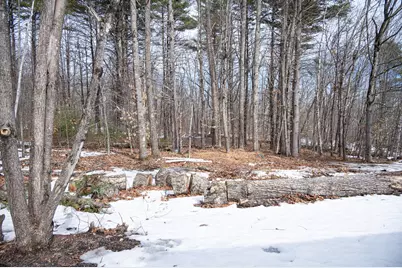 45 Morrison Lane, Newfield, ME 04095 - Photo 5