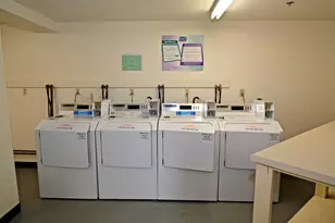 8 Fall Line Dr, Newry, ME 04261 - Photo 33