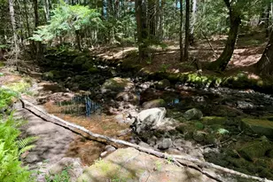 519 Norway Rd, Harrison, ME 04040 - Photo 59