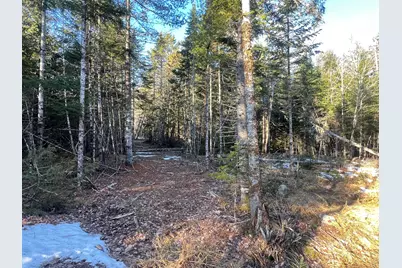 40 Benjamin Way, Waltham, ME 04605 - Photo 5