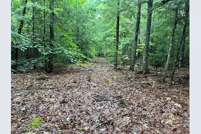 30 Moose Trail, Waltham, ME 04605 - Photo 5