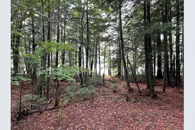 30 Moose Trail, Waltham, ME 04605 - Photo 7