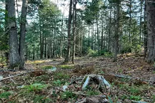 30 Hunts Meadow Rd, Pittston, ME 04353 - Photo 1