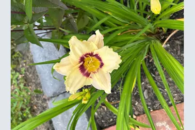 25 Curtis Lane, Palmyra, ME 04965 - Photo 43