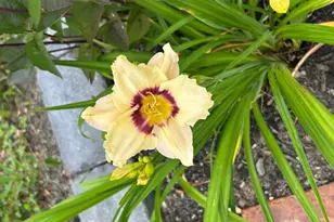 25 Curtis Ln, Palmyra, ME 04965 - Photo 43