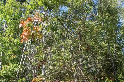 416 Woodbridge Corner Road, Sherman, ME 04776 - Photo 17