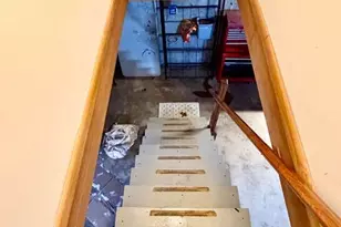 843 & 839 U S 1 Rte, Jonesboro, ME 04648 - Photo 51