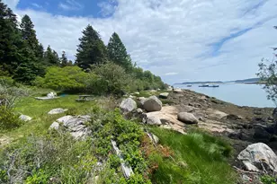 31 Green Head Ln, Stonington, ME 04681 - Photo 35