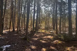 1148 Cape Rosier Rd, Brooksville, ME 04617 - Photo 1