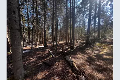 1148 Cape Rosier Road, Brooksville, ME 04617 - Photo 7