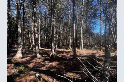 1148 Cape Rosier Road, Brooksville, ME 04617 - Photo 5