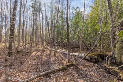 Lot 45-2 Pinewoods Trail, Oakland, ME 04963 - Photo 23