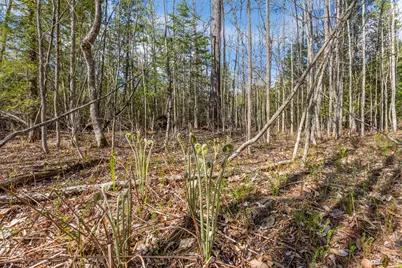 Lot 45-2 Pinewoods Trail, Oakland, ME 04963 - Photo 19