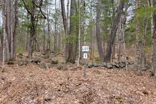 Lot #1 W West Fryeburg Rd, Fryeburg, ME 04037 - Photo 1