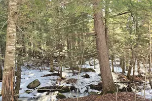 15 Farrar Dr, Dover Foxcroft, ME 04426 - Photo 55