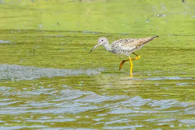 46 River Edge Drive, Woolwich, ME 04579 - Photo 63