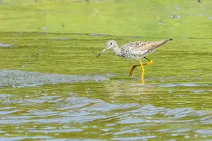 46 River Edge Dr, Woolwich, ME 04579 - Photo 63